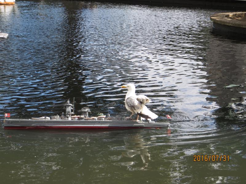 Graf Spee -with stowaway!!